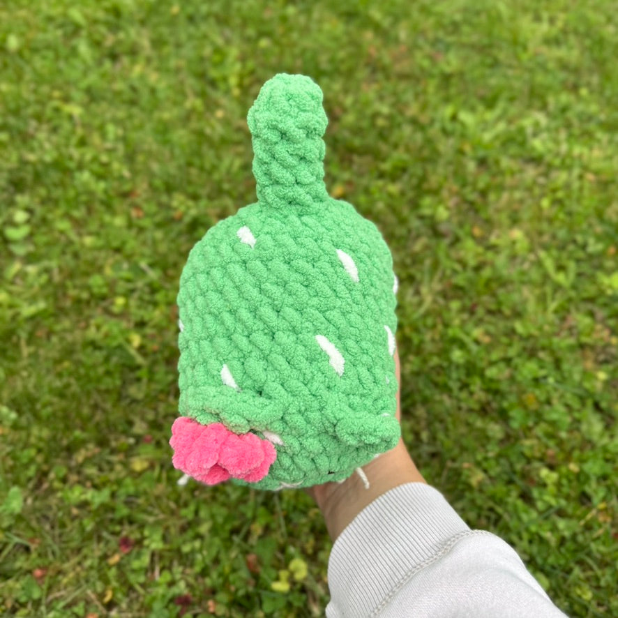 Cactus Kitten Crochet Plushie | Hand Painted Eyes