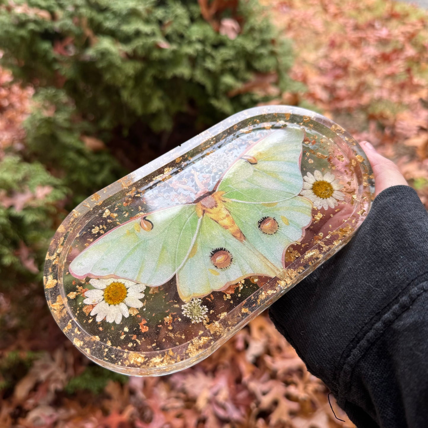 Luna Moth Trinket Tray