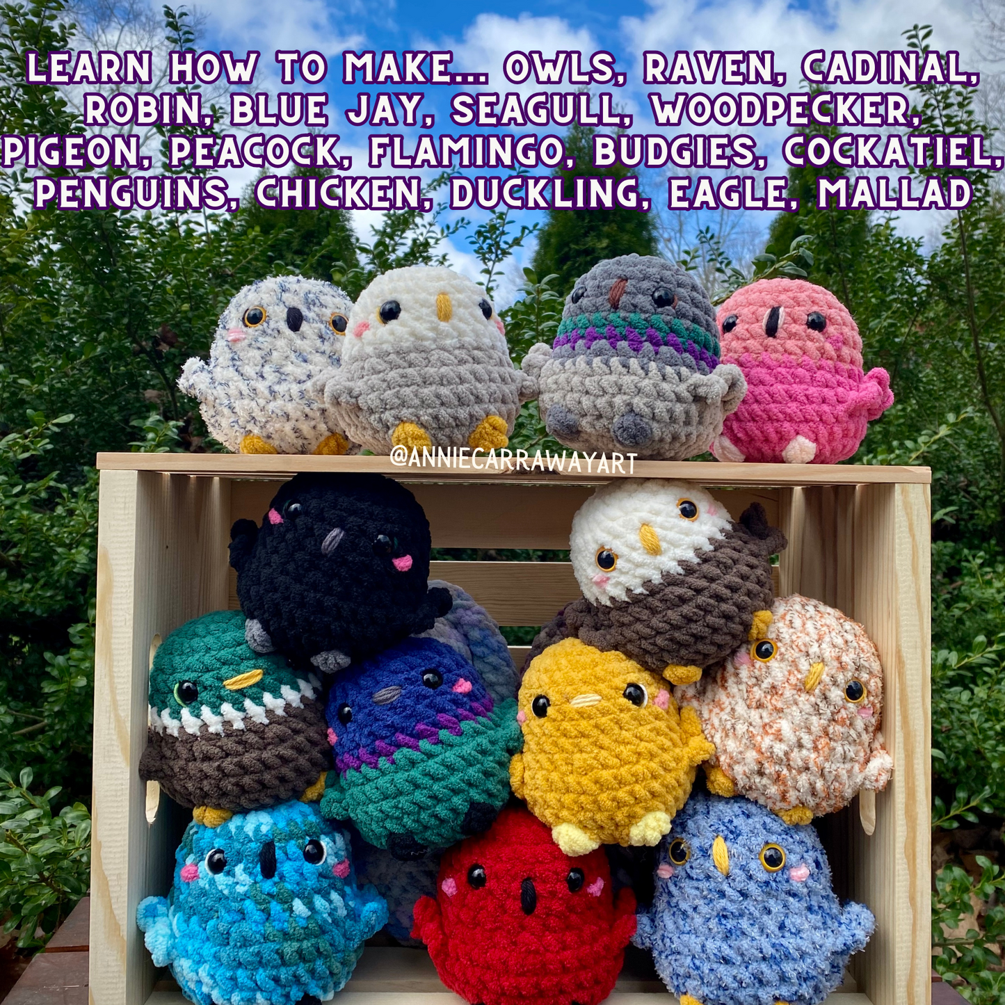 Birdie Friends Crochet Pattern