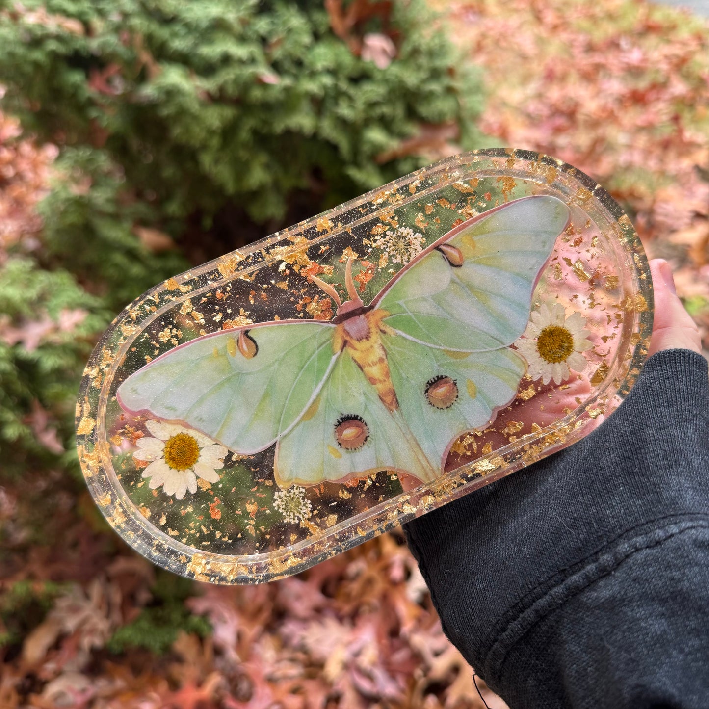 Luna Moth Trinket Tray