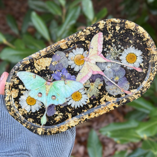 Luna Moth Trinket Tray