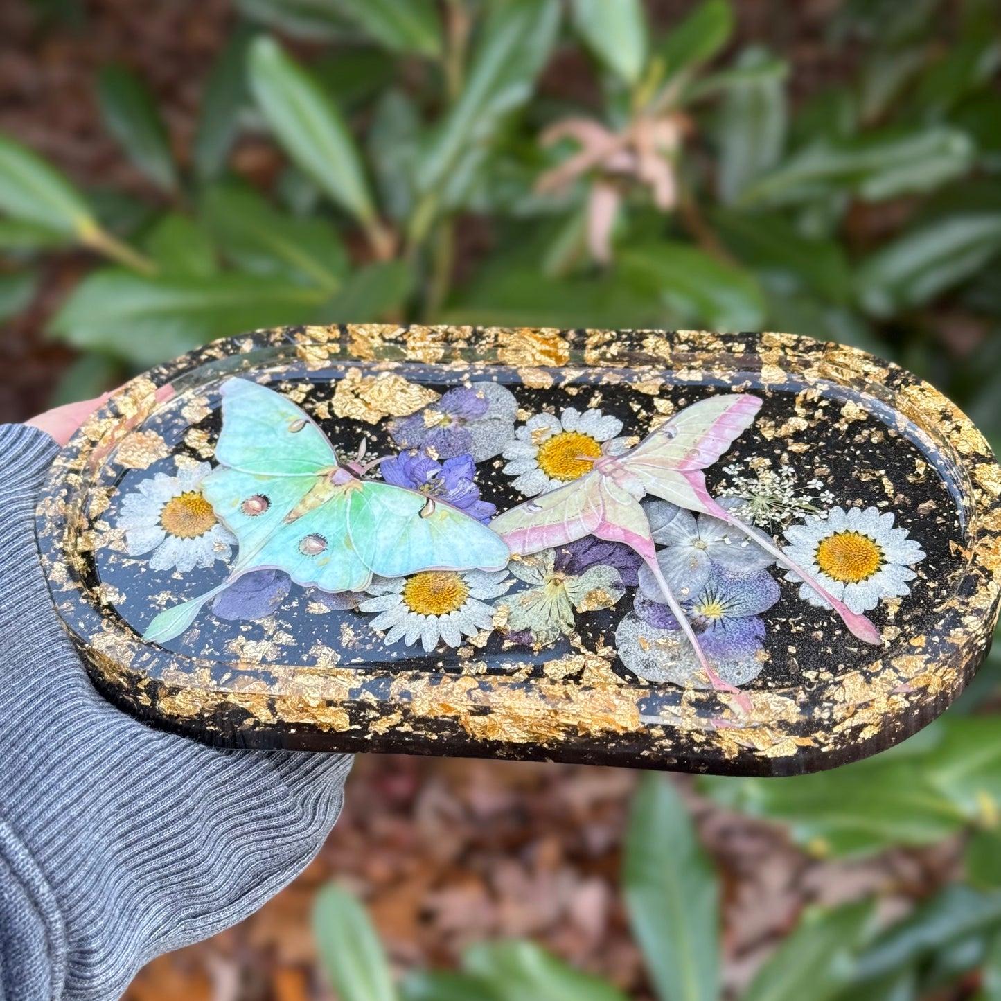 Luna Moth Trinket Tray