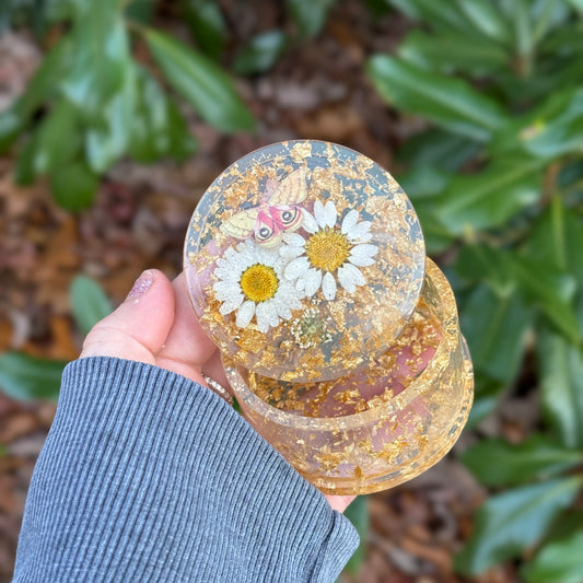 Moth Golden Daisy Flower Trinket Box