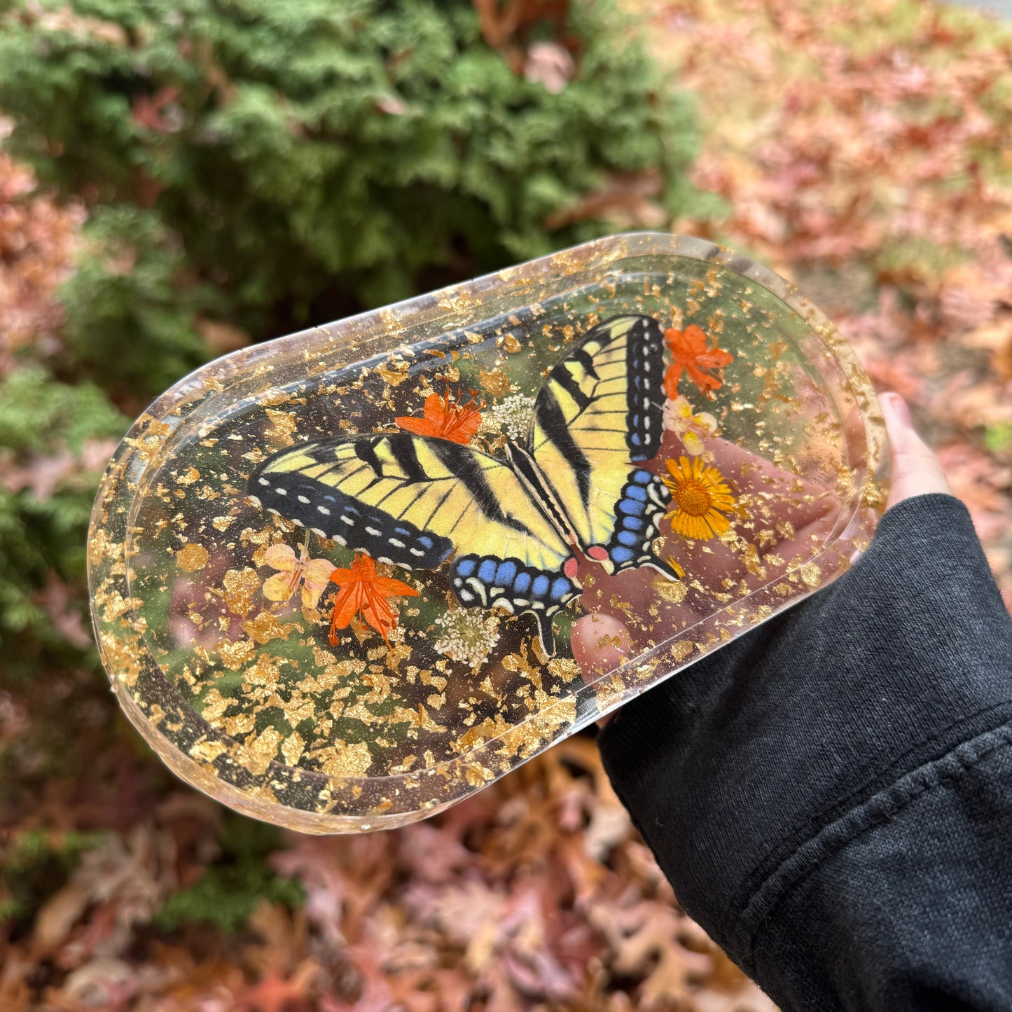 Swallowtail Butterfly Trinket Tray