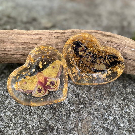 Io Moth and Tiger Swallowtail Heart Dish
