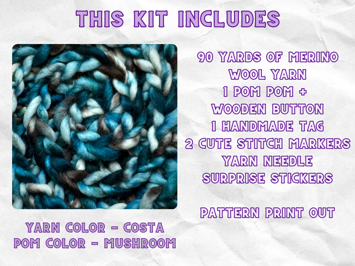 Starlight Beanie Crochet Kit | Hand Dyed Merino Wool | Costa