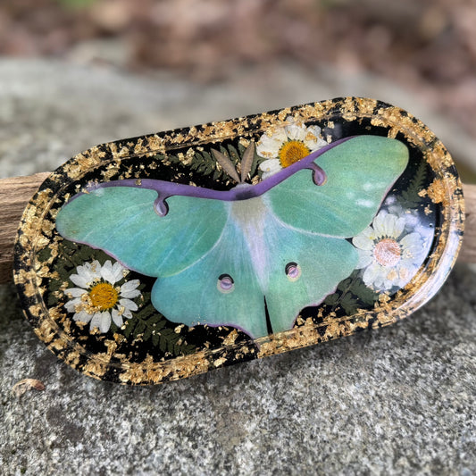 Luna Moth Trinket Tray