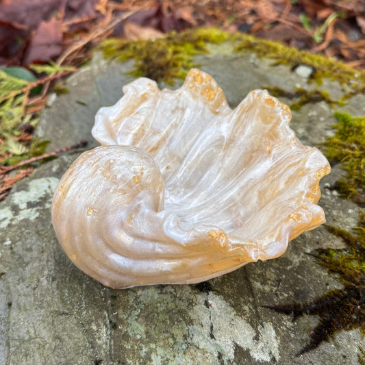 Golden Sea Shell Dish