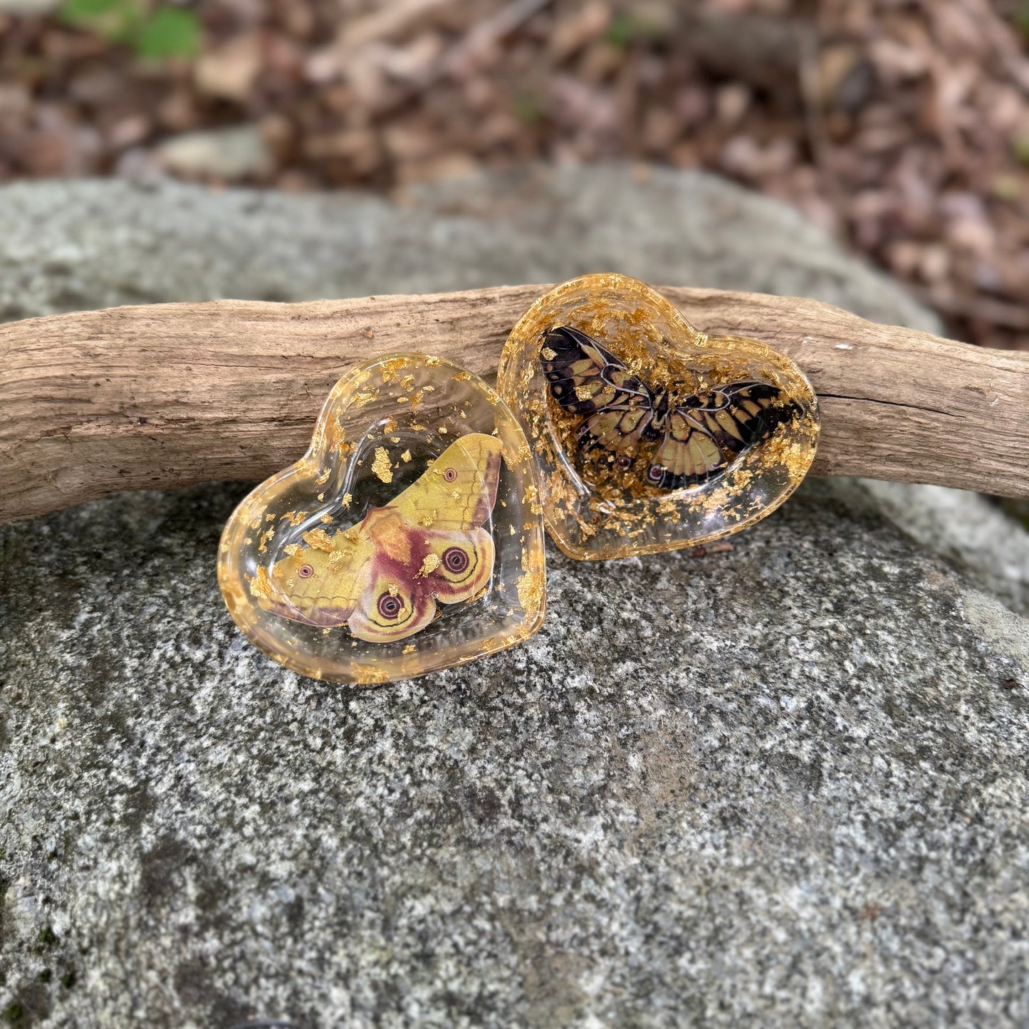 Io Moth and Tiger Swallowtail Heart Dish