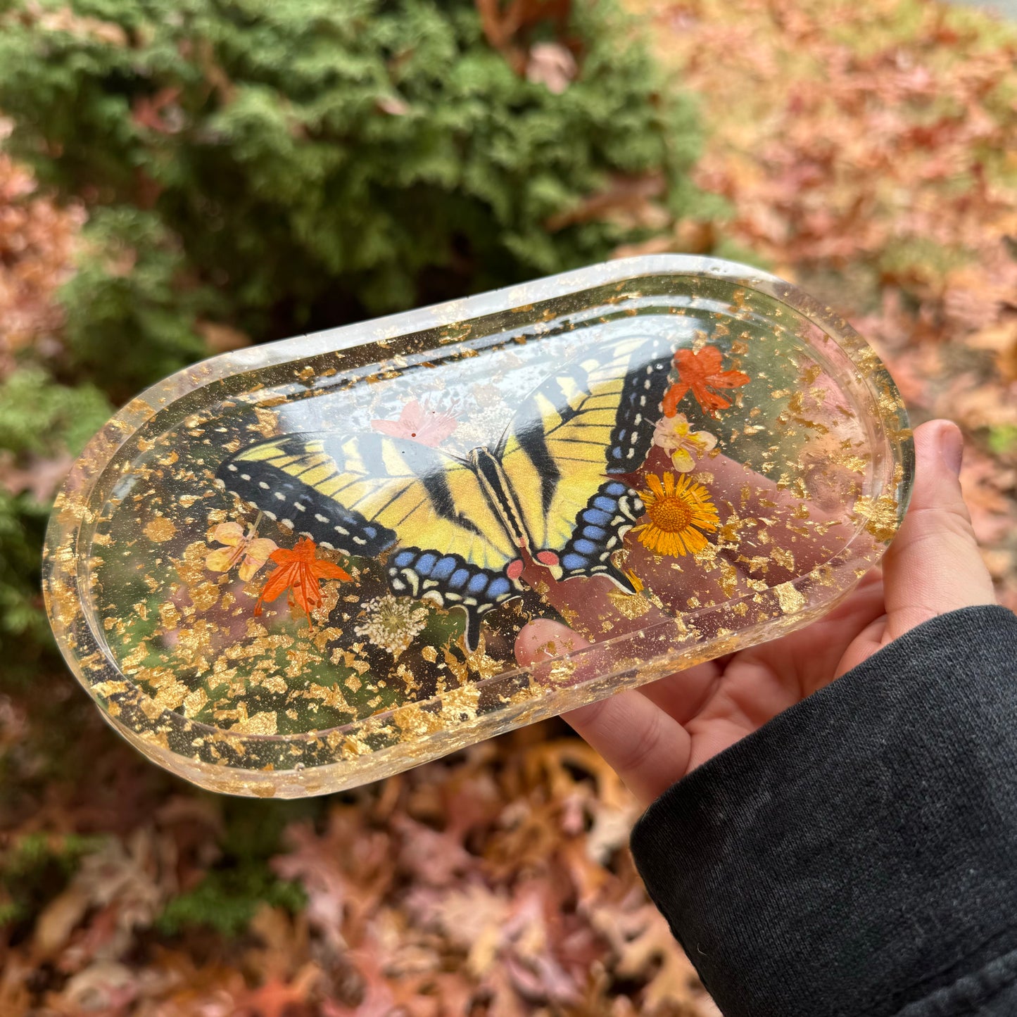 Swallowtail Butterfly Trinket Tray