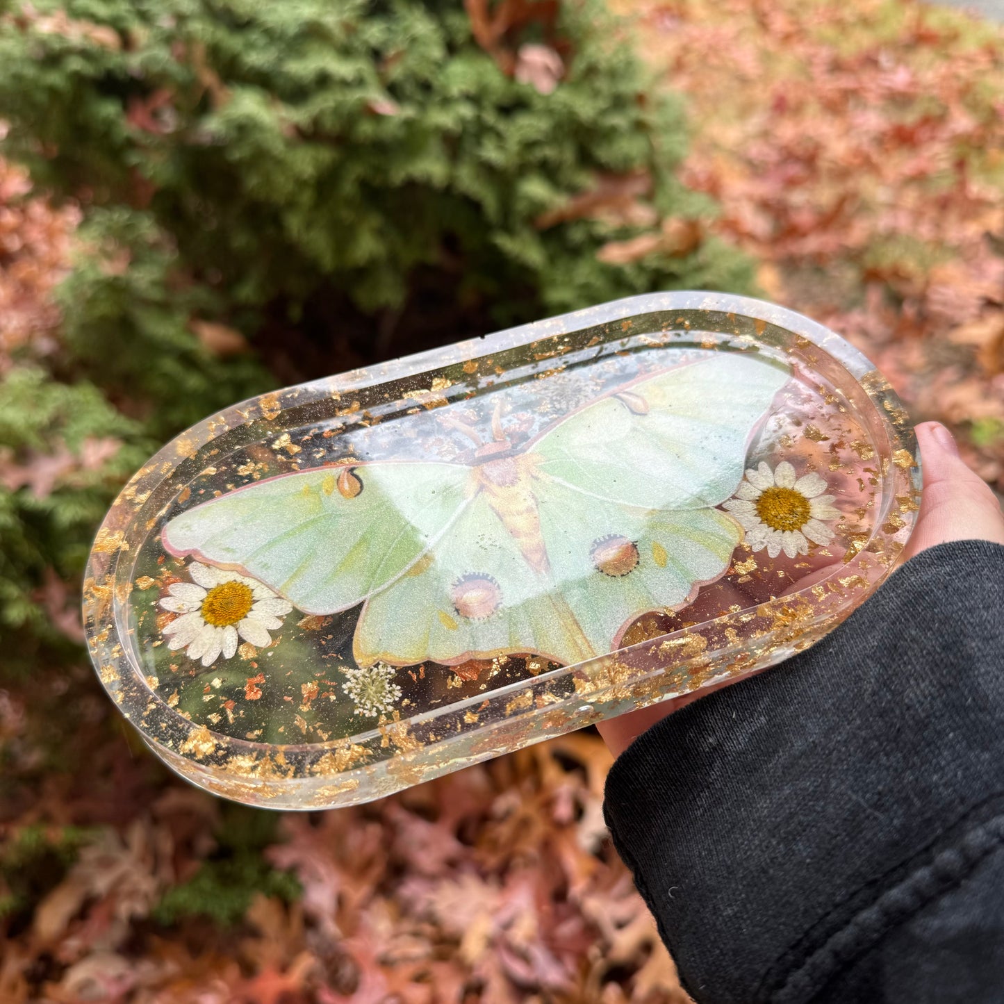 Luna Moth Trinket Tray