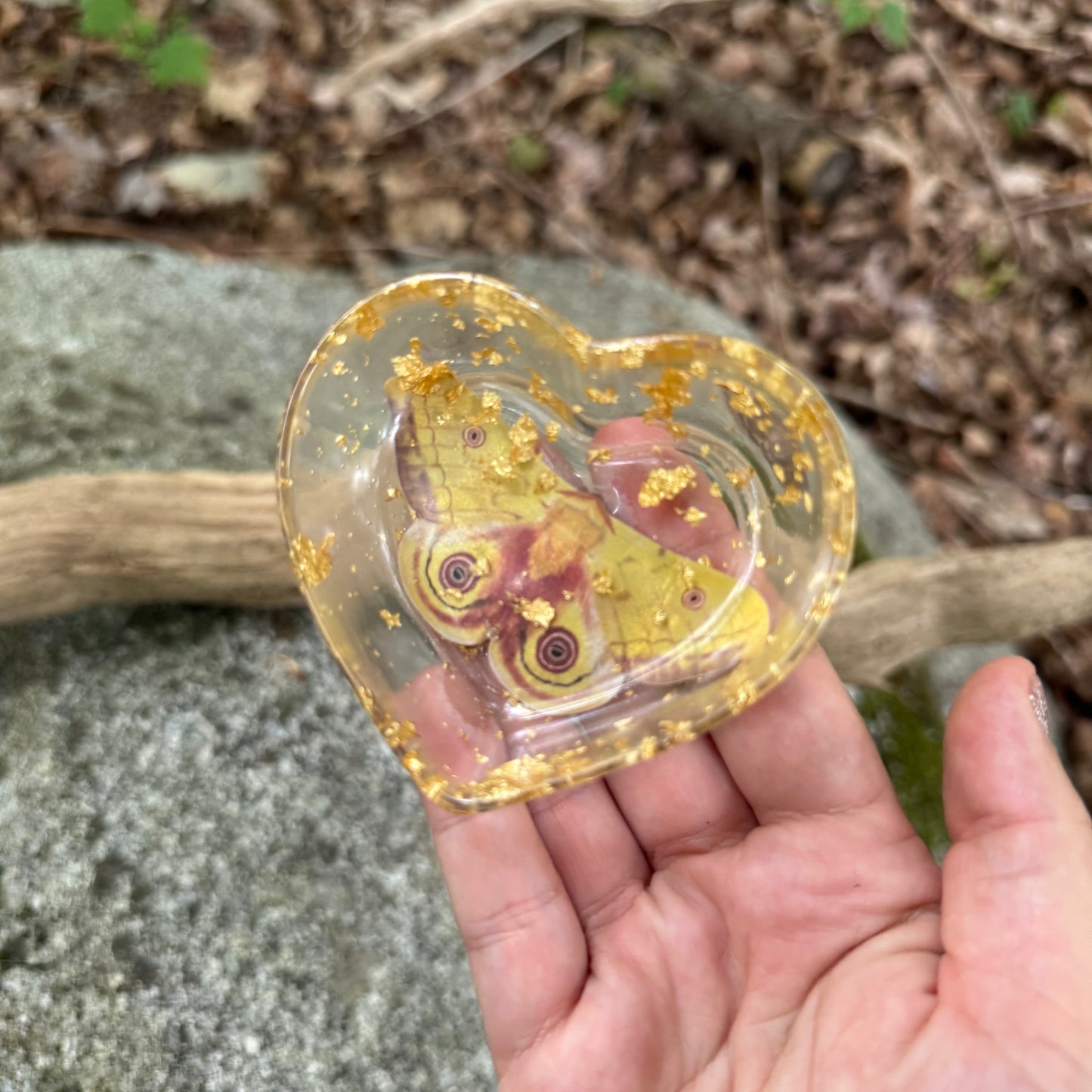 Io Moth and Tiger Swallowtail Heart Dish