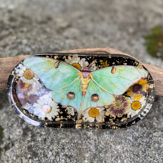 Autumn Luna Moth Trinket Tray