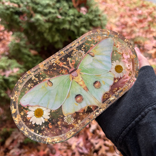 Luna Moth Trinket Tray